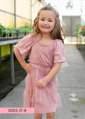 Kamryn Pink Mesh Tiered Little Girl Dress